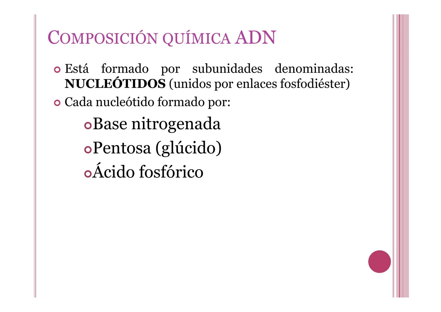 # LA INFORMACIÓN Y
# MANIPULACIÓN GENÉTICA
Petri Calero 4º ESO # EL ADN Y LOS ÁCIDOS NUCLEICOS
• El ADN o ácido desoxirribonucleico: molé