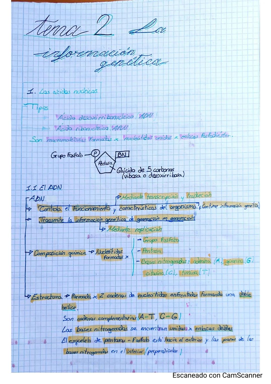 La información genética.