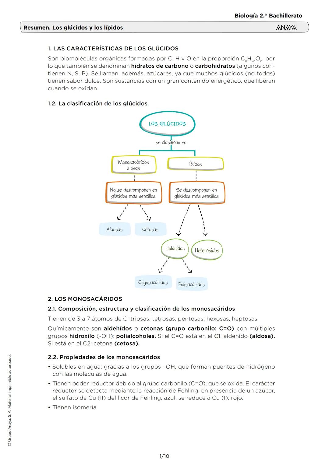 Grupo Anaya, S. A. Material imprimible autorizado.
Resumen. Los glúcidos y los lípidos
Biología 2.º Bachillerato
ANAYA
1. LAS CARACTERÍSTICA