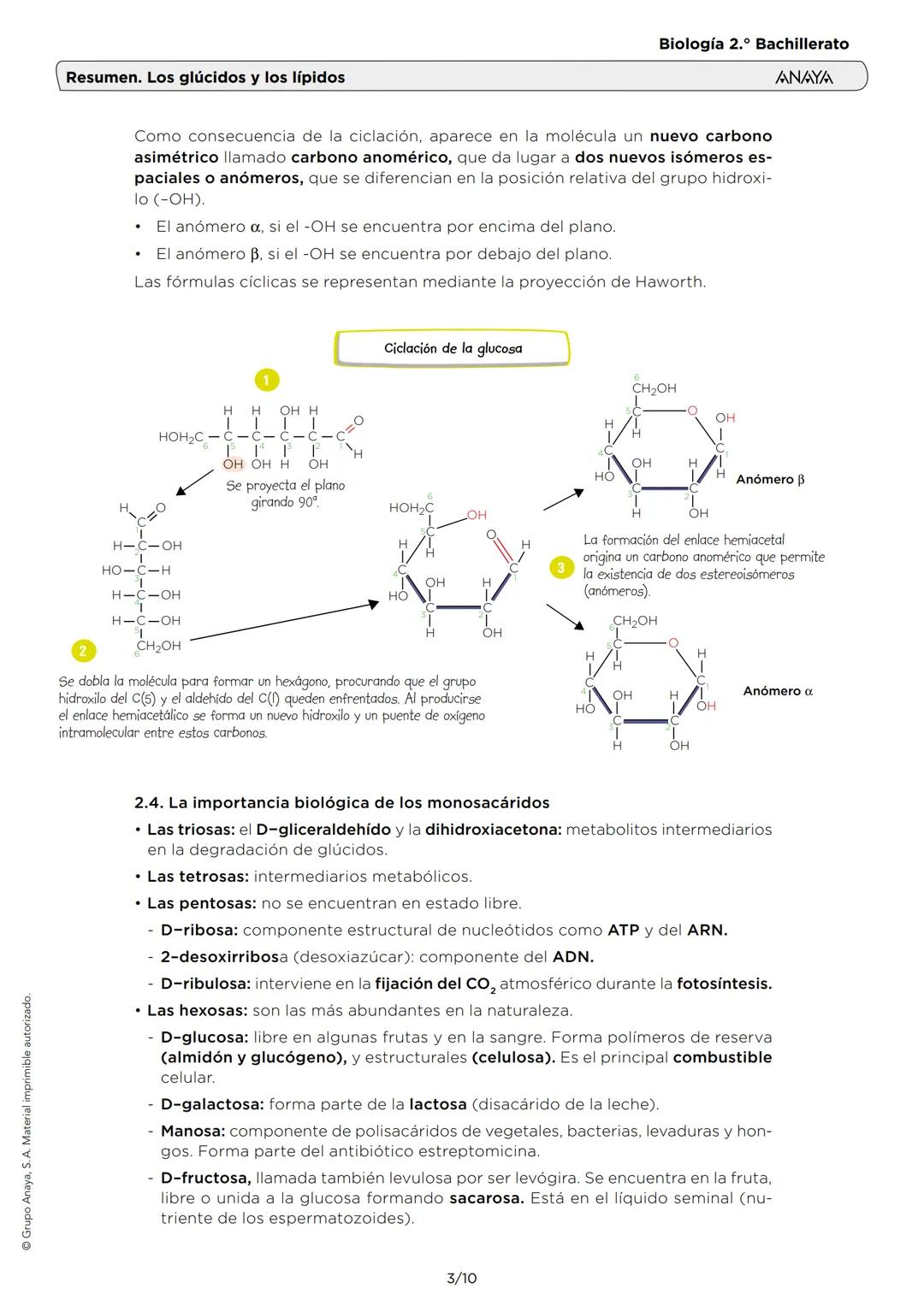 Grupo Anaya, S. A. Material imprimible autorizado.
Resumen. Los glúcidos y los lípidos
Biología 2.º Bachillerato
ANAYA
1. LAS CARACTERÍSTICA