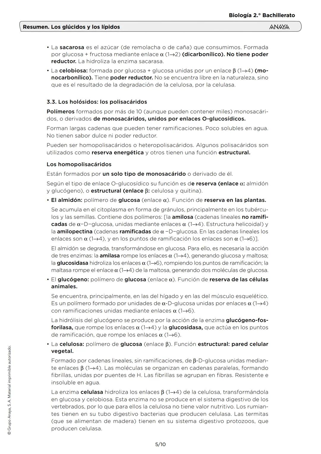Grupo Anaya, S. A. Material imprimible autorizado.
Resumen. Los glúcidos y los lípidos
Biología 2.º Bachillerato
ANAYA
1. LAS CARACTERÍSTICA