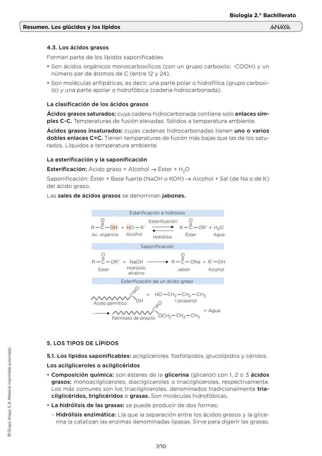 Grupo Anaya, S. A. Material imprimible autorizado.
Resumen. Los glúcidos y los lípidos
Biología 2.º Bachillerato
ANAYA
1. LAS CARACTERÍSTICA
