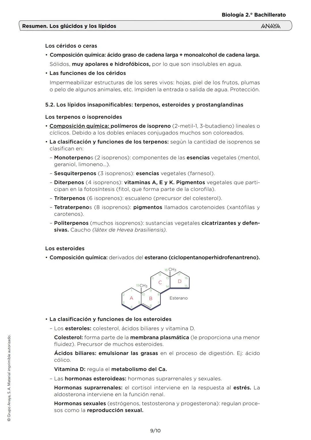Grupo Anaya, S. A. Material imprimible autorizado.
Resumen. Los glúcidos y los lípidos
Biología 2.º Bachillerato
ANAYA
1. LAS CARACTERÍSTICA