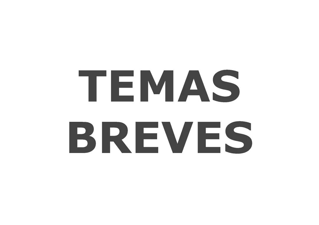 HISTORIA DE ESPAÑA, temas breves