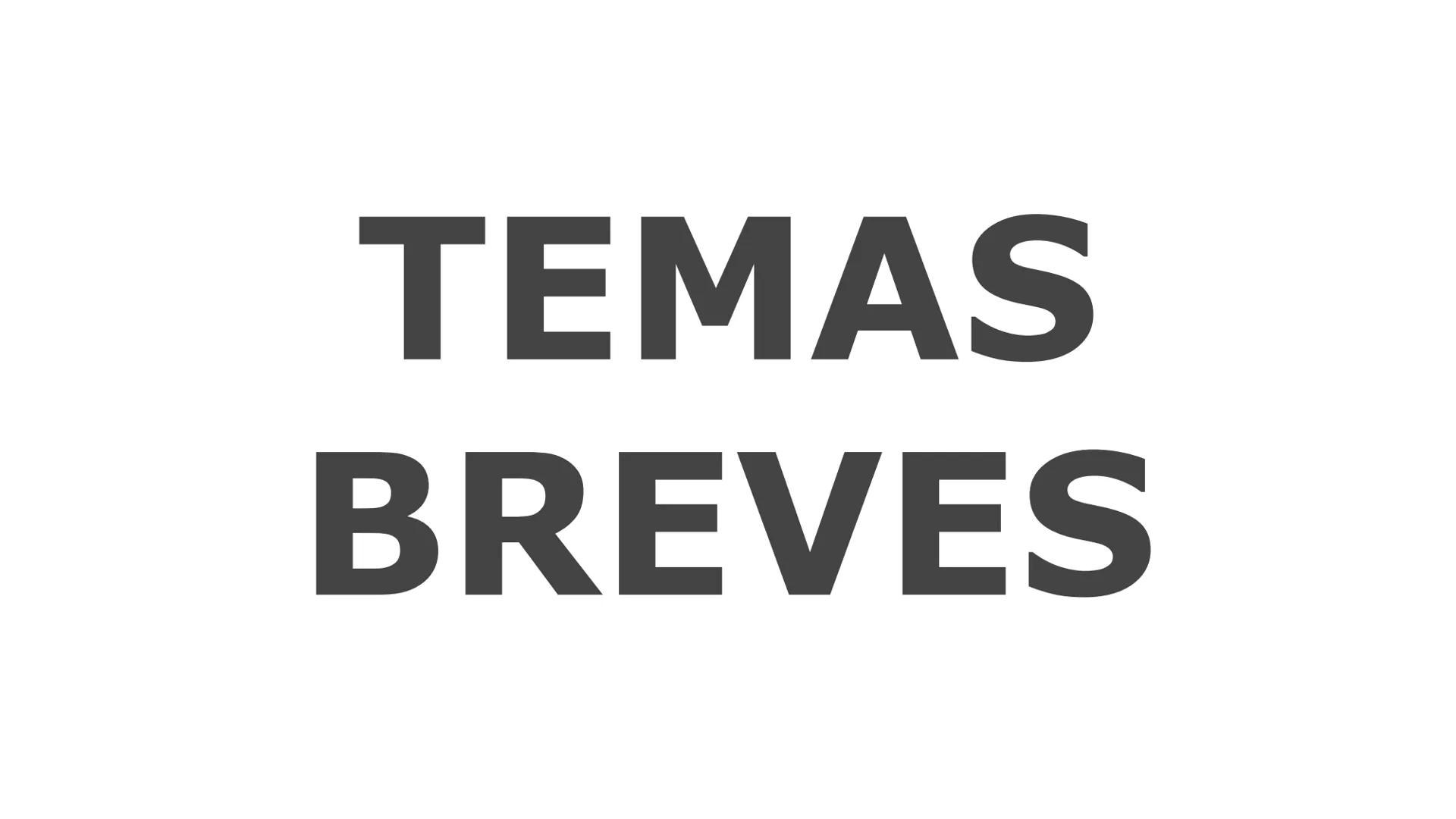 TEMAS
BREVES SÉCULO XVI
LA NUEVA MONARQUÍA DE LOS REYES CATÓLICOS
LA UNIÓN DINÁSTICA
El matrimonio formado por Isabel, reina de la Corona de