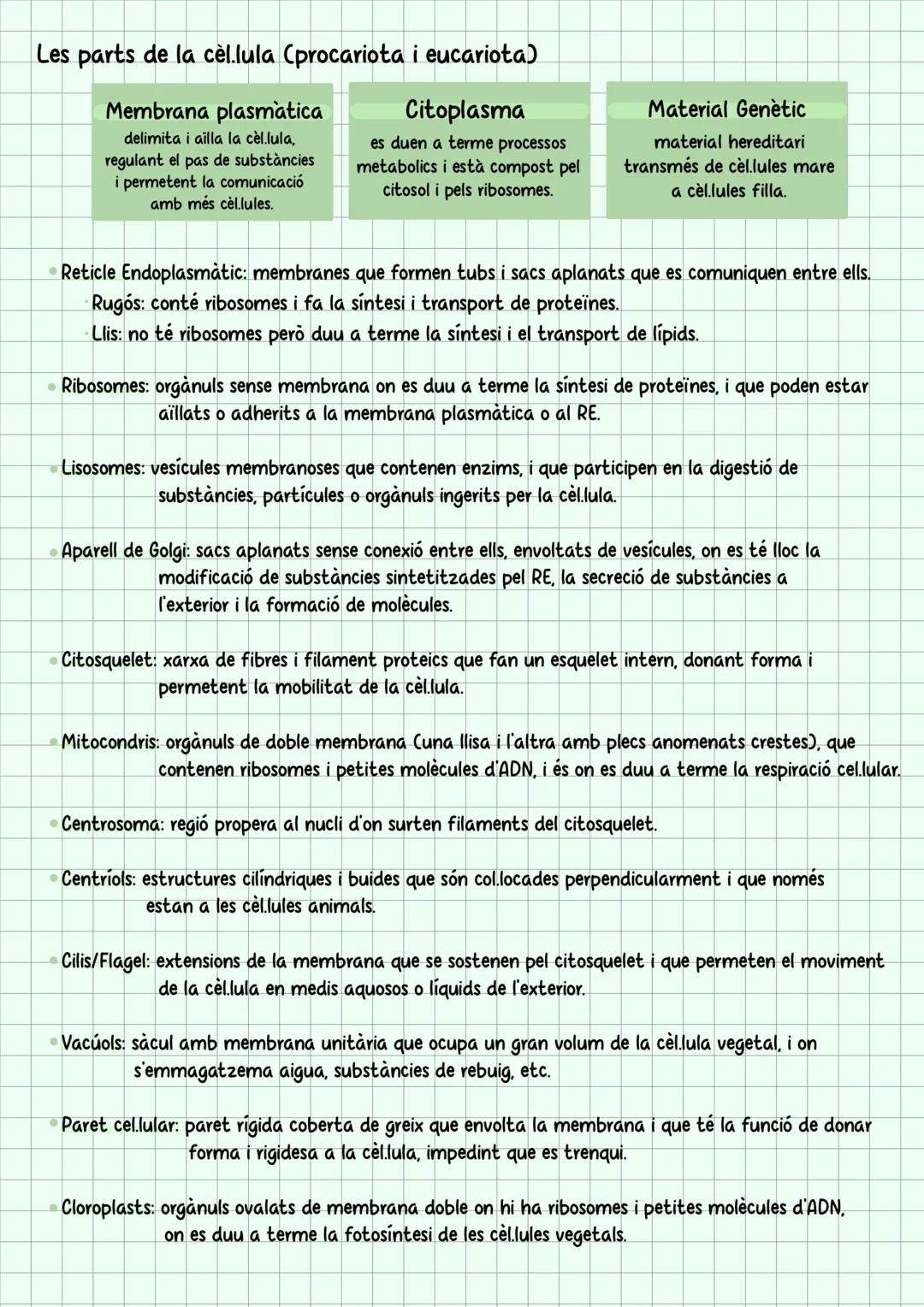Nucloide
Citoplasma
Pili
Ribosomes
# Biologia
Membrana plasmatica
Paret Cellular
Capsula
Flagel
Citoplasma Citosquelet
Aparell de Golgi
Memb