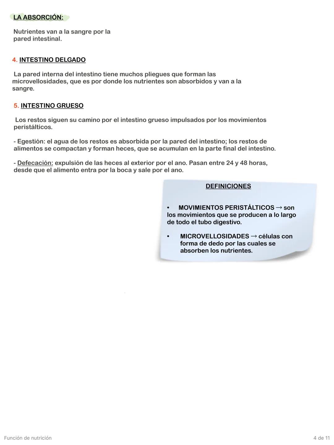 Función de nutrición
1 de 11 # Aparato digestivo
FORMADO POR:
* TUBO DIGESTIVO: empieza en la boca y termina en el ano.
* GLÁNDULAS A