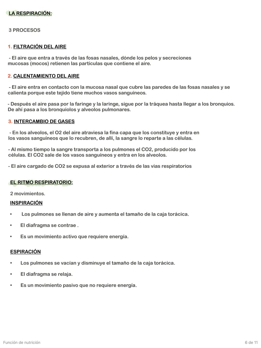Función de nutrición
1 de 11 # Aparato digestivo
FORMADO POR:
* TUBO DIGESTIVO: empieza en la boca y termina en el ano.
* GLÁNDULAS A