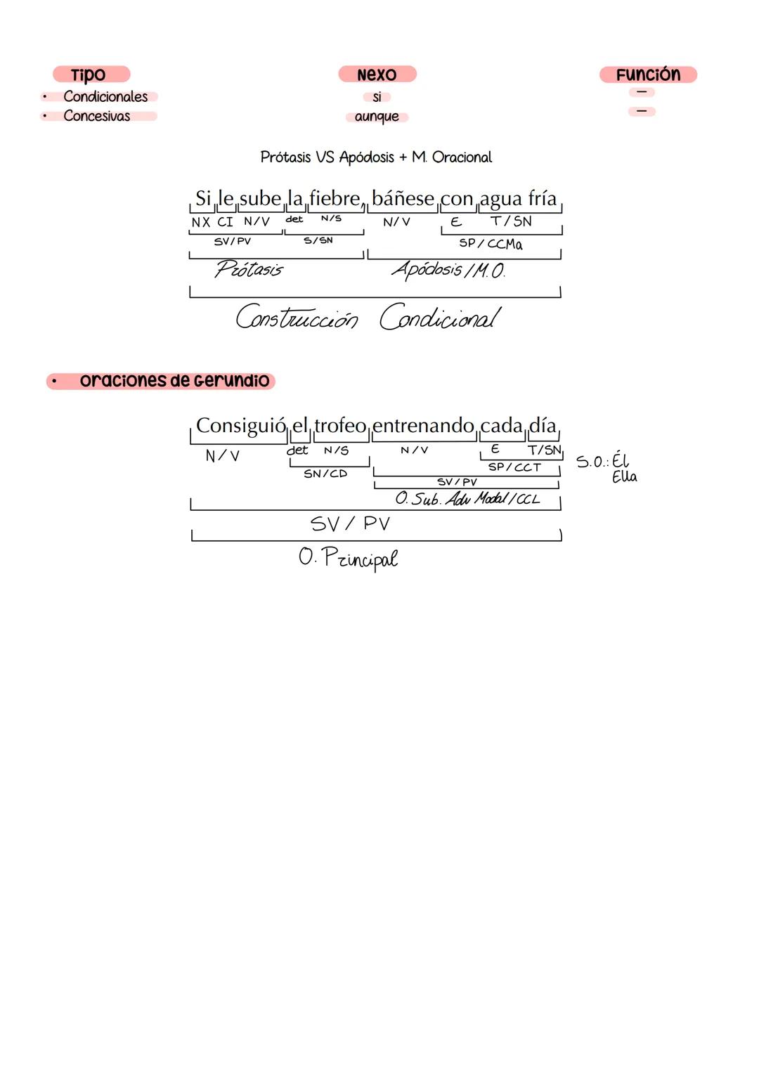 ---PREGUNTA 1: Comentario de Texto---
•
•
•
{Antes de empezar a redactar la respuesta:
A.) Enumero a la izquierda del texto las líneas de 5