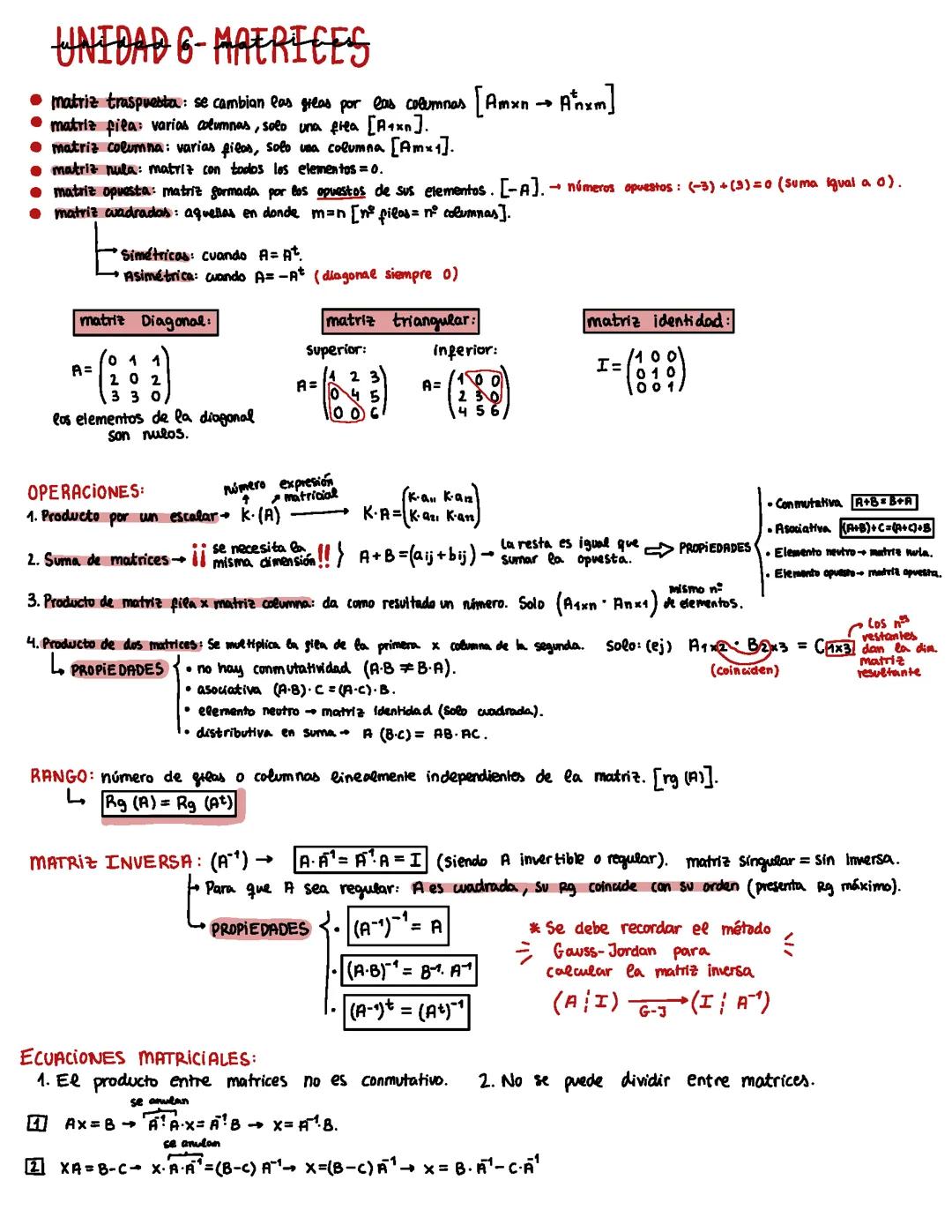 Apuntes Mates 2bach- matrices y determinantes