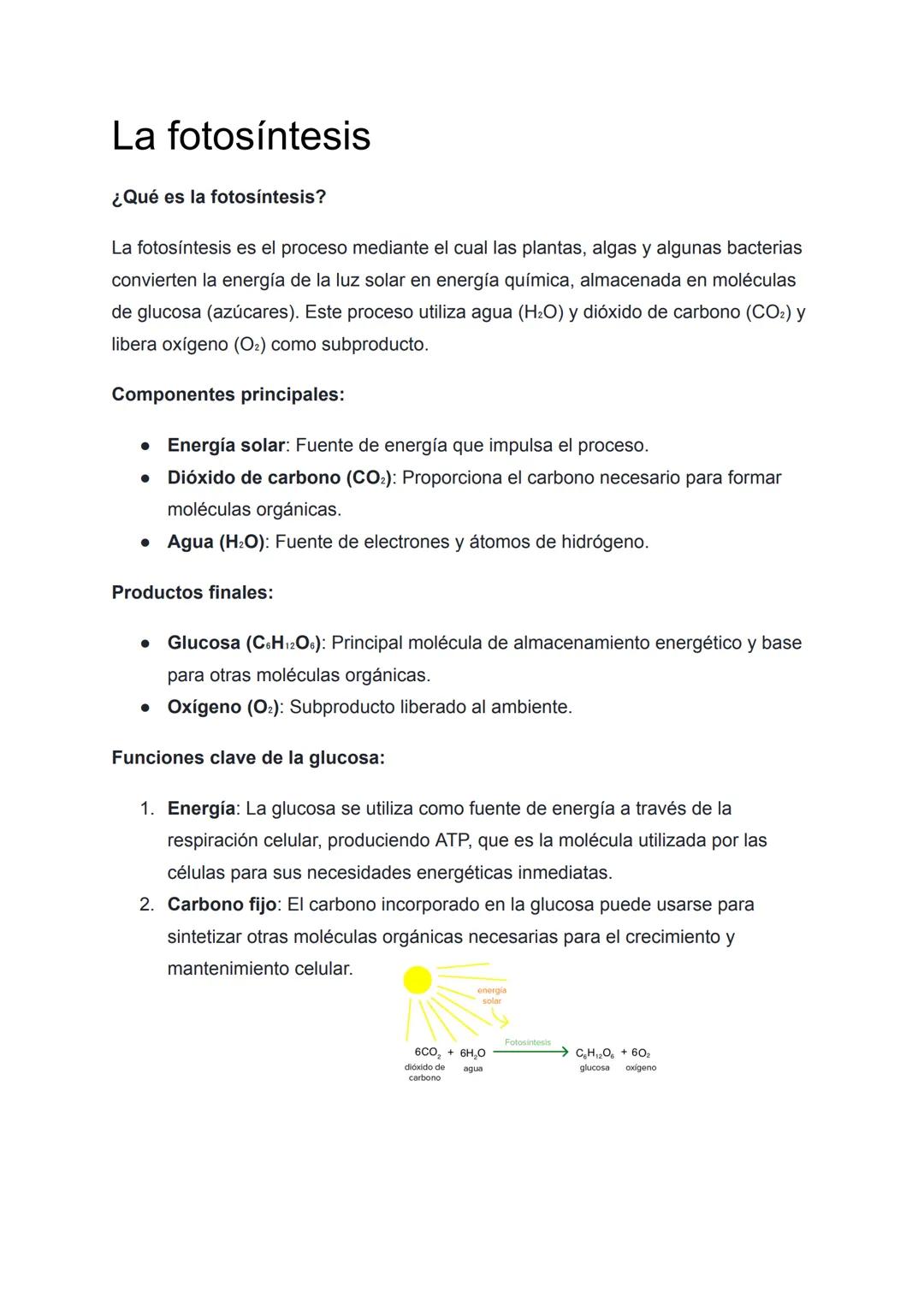 # La fotosíntesis
¿Qué es la fotosíntesis?
La fotosíntesis es el proceso mediante el cual las plantas, algas y algunas bacterias
convierte