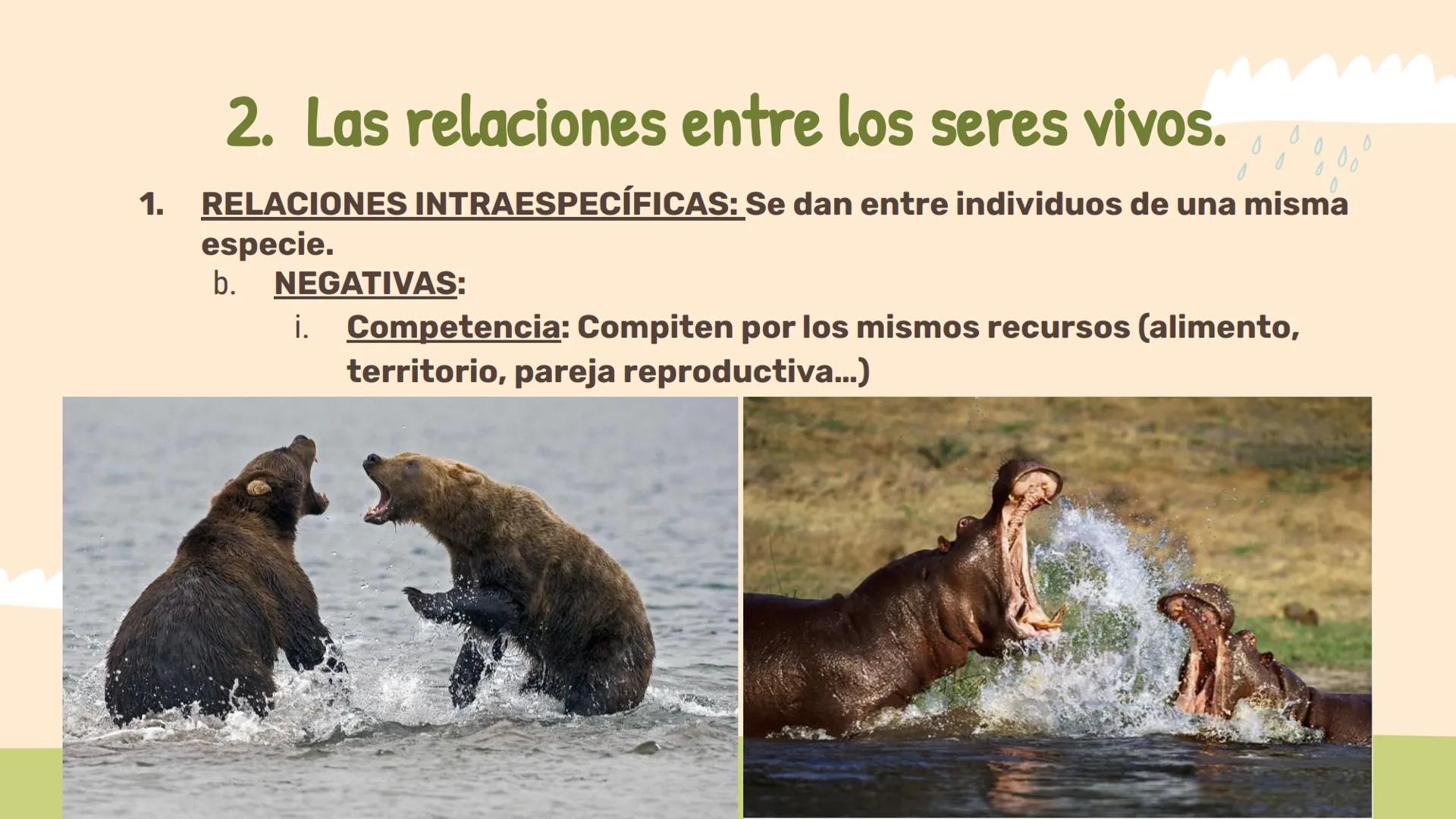 # Los ecosistemas.
## Tema 1.
1º ESO ÍNDICE:
01
Los componentes de
un ecosistema.
02
Las relaciones entre
seres vivos.
03
Las adaptac