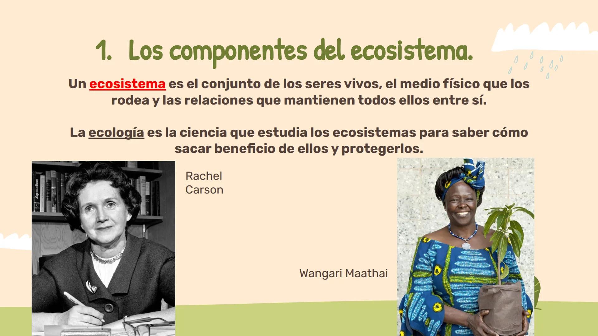 # Los ecosistemas.
## Tema 1.
1º ESO ÍNDICE:
01
Los componentes de
un ecosistema.
02
Las relaciones entre
seres vivos.
03
Las adaptac