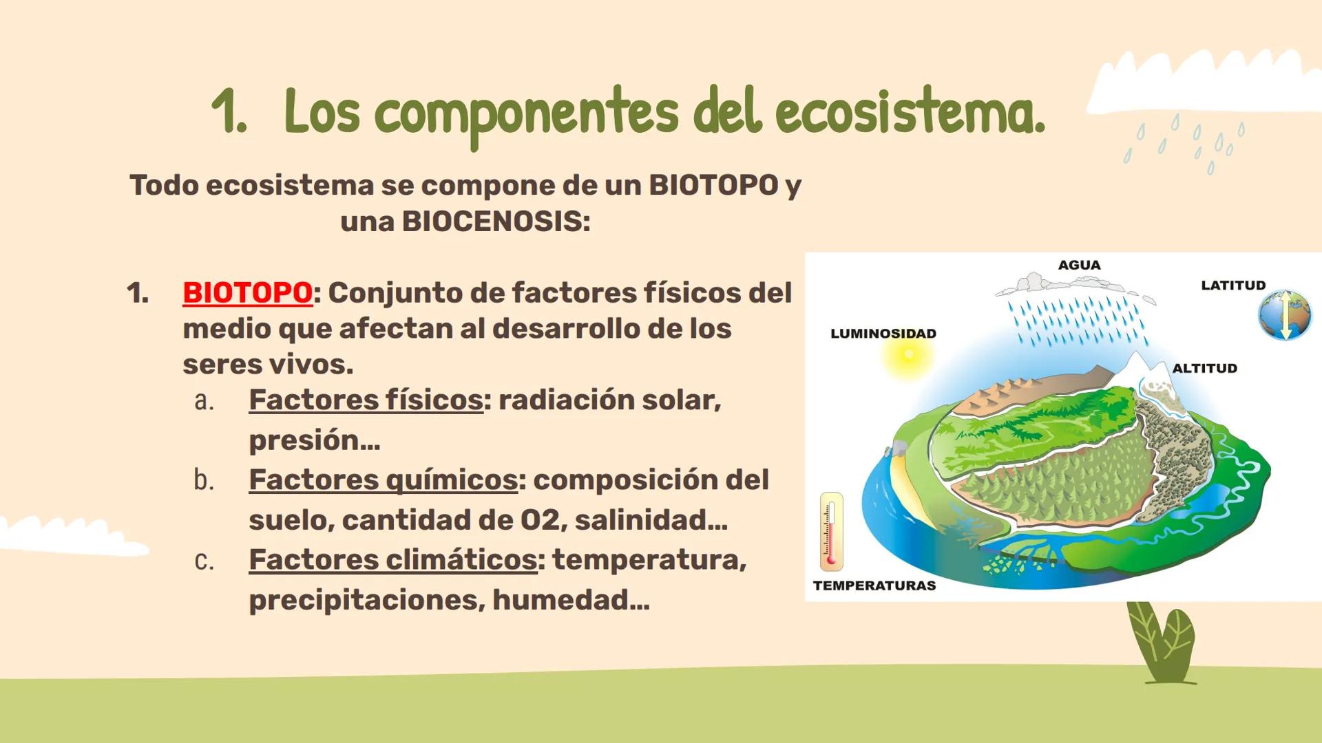# Los ecosistemas.
## Tema 1.
1º ESO ÍNDICE:
01
Los componentes de
un ecosistema.
02
Las relaciones entre
seres vivos.
03
Las adaptac