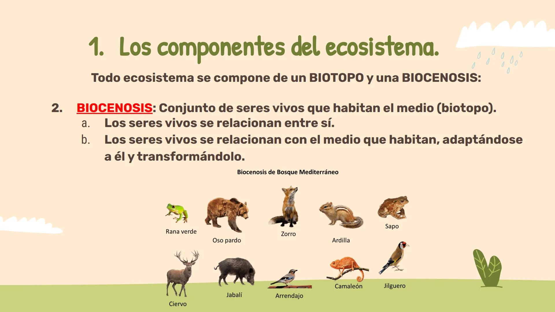 # Los ecosistemas.
## Tema 1.
1º ESO ÍNDICE:
01
Los componentes de
un ecosistema.
02
Las relaciones entre
seres vivos.
03
Las adaptac