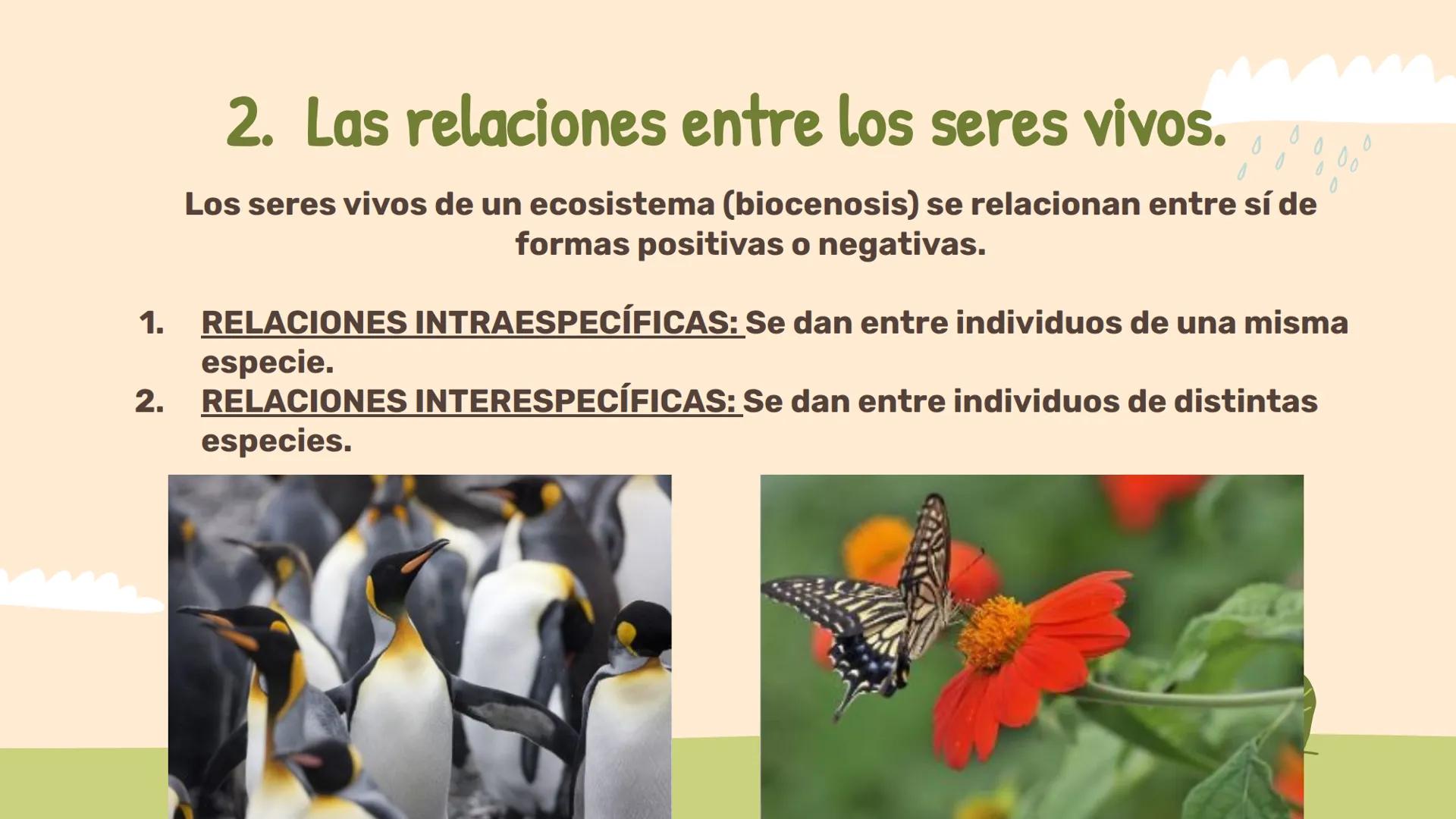 # Los ecosistemas.
## Tema 1.
1º ESO ÍNDICE:
01
Los componentes de
un ecosistema.
02
Las relaciones entre
seres vivos.
03
Las adaptac