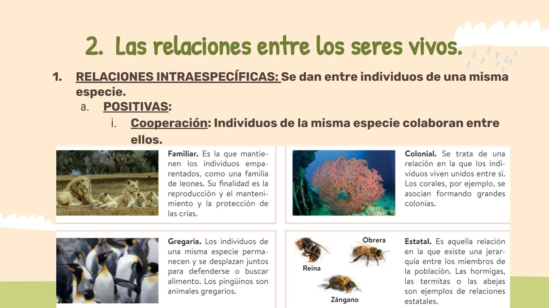 # Los ecosistemas.
## Tema 1.
1º ESO ÍNDICE:
01
Los componentes de
un ecosistema.
02
Las relaciones entre
seres vivos.
03
Las adaptac