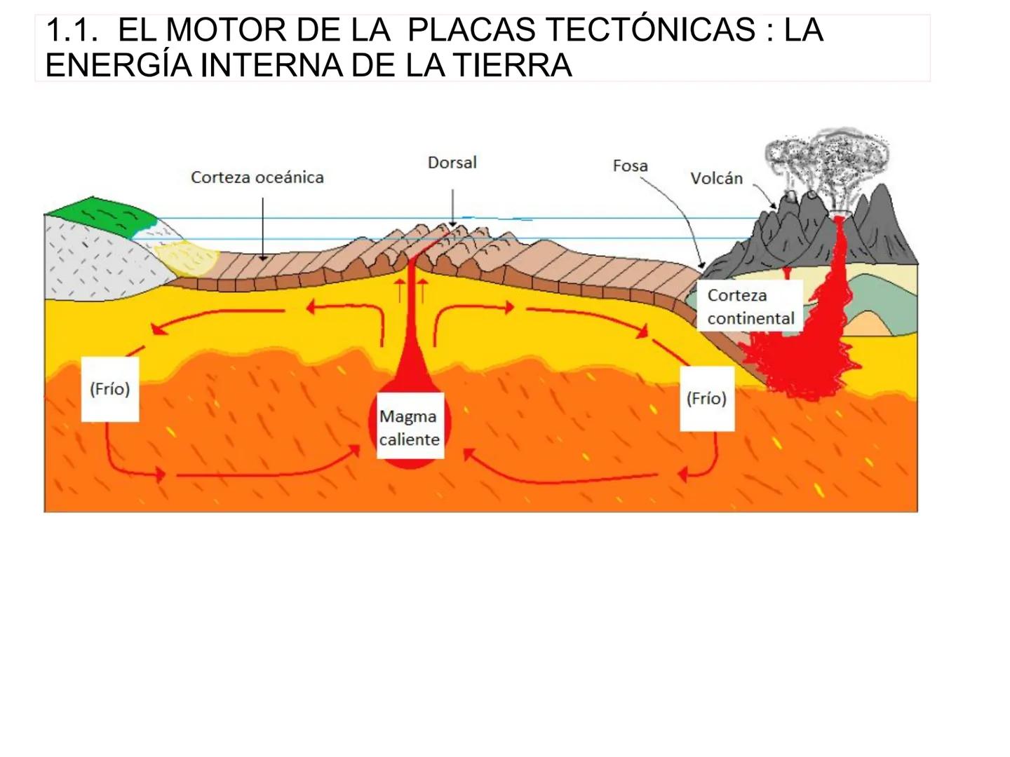 TEMA 10. MANIFESTACIONES DE LA
ENERGÍA INTERNA DE LA TIERRA
Efectos de un terremoto
Volcán en erupción 1. LAS PLACAS TECTÓNICAS
Las placas t