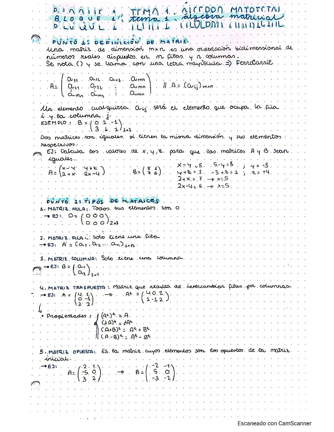 APUNTES TEMA 1, BLOQUE 1: Álgebra matricial. Matrices.