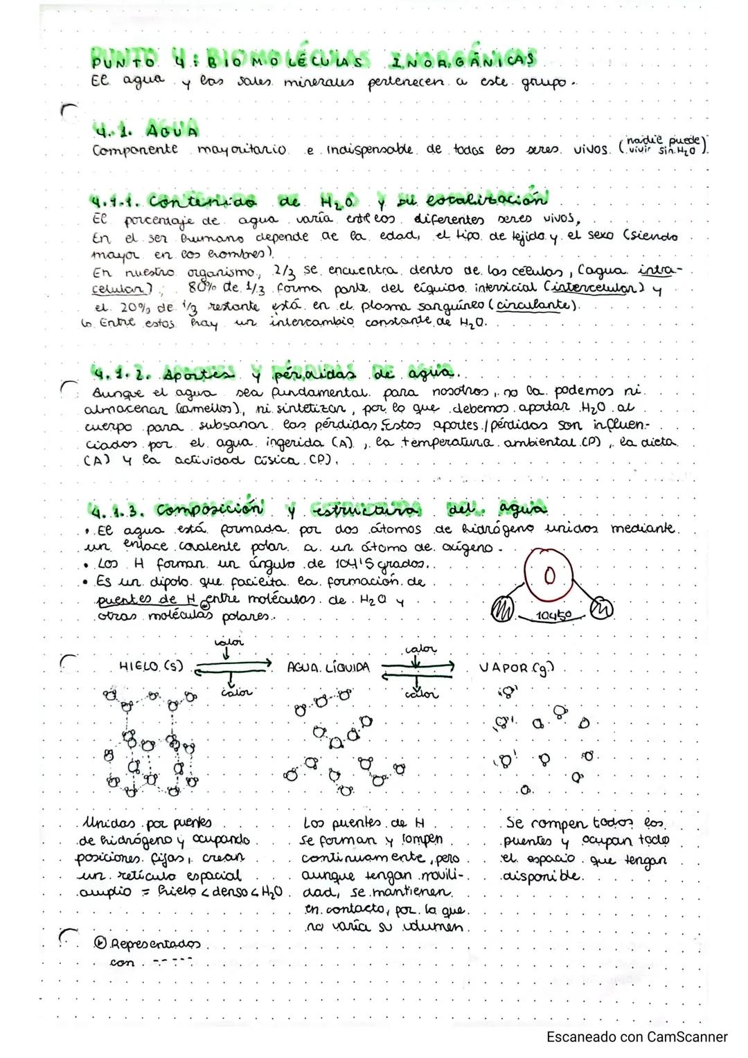 temal:
1
bioelementos
biomocéallas inorgánicas.
seres
organización de cas
reproducción)
PUNTO 11 características. y niveles de.
CARACTERISTI