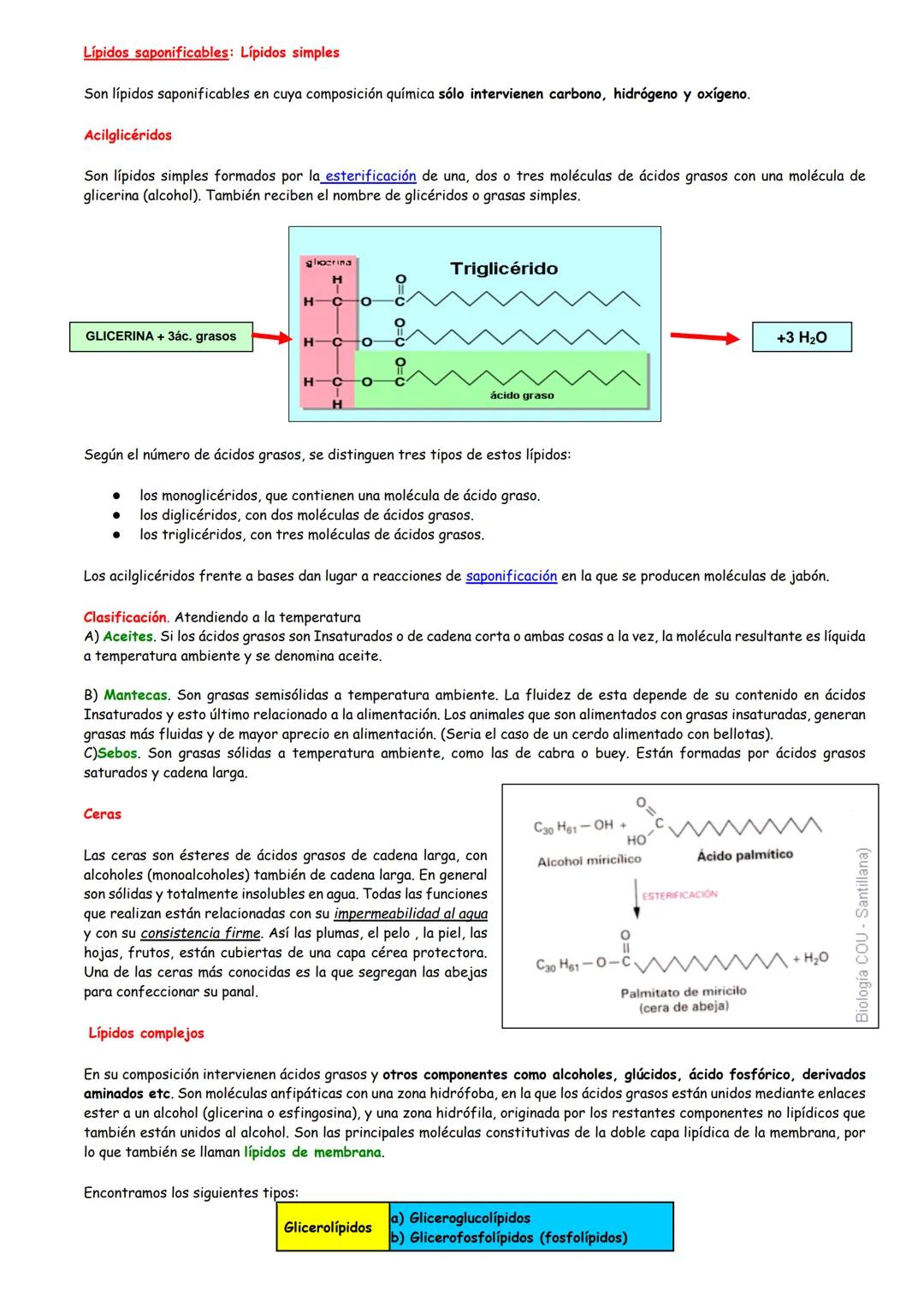 Concepto de lípido
Clasificación de los lípidos
Los ácidos grasos
Características
Clasificación
Propiedades
Lípidos SAPONIFICABLES
1. Lípido