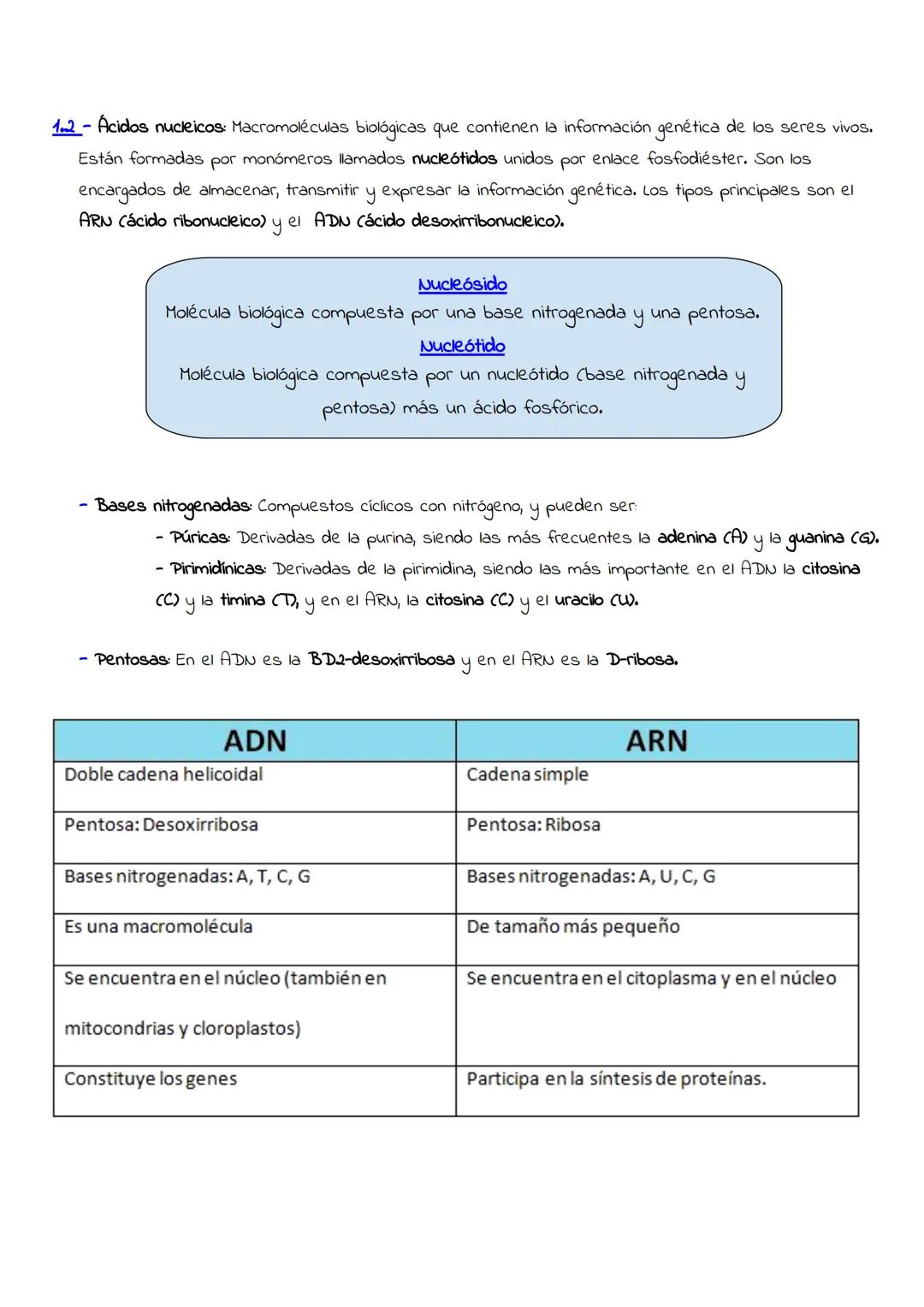 P
Temario completo
24/25
BIOLOGÍA
AAA Tema 1 nivel molecular
1.1 - Bioelementos: Componentes orgánicos que forman parte de los seres vivos.