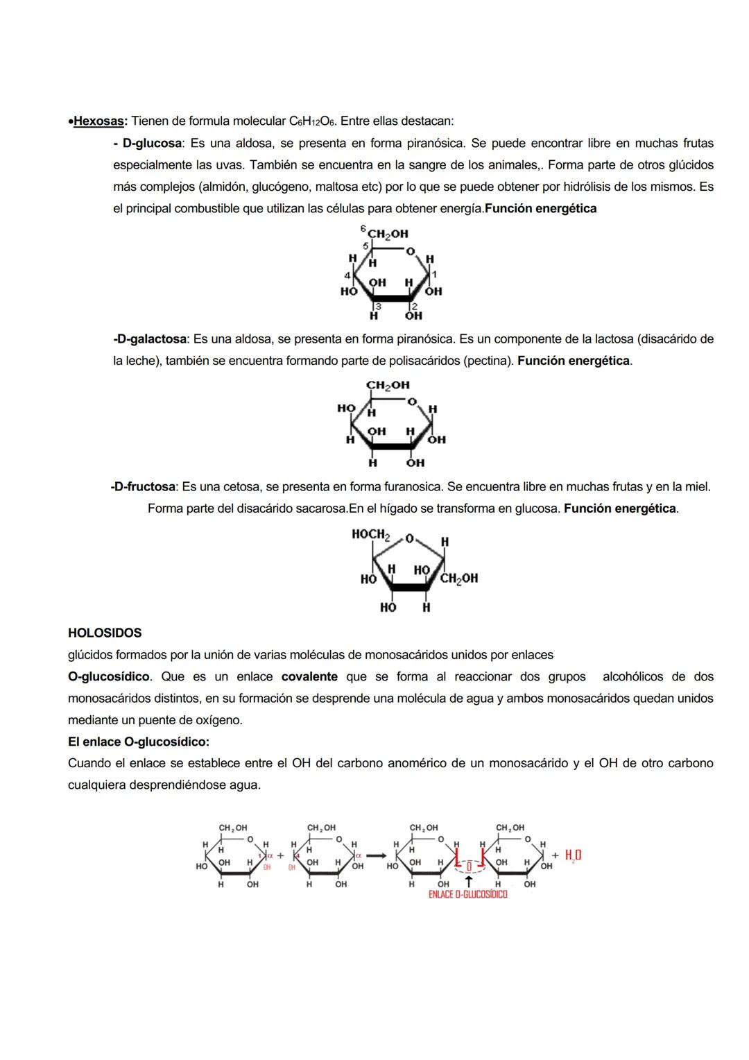 GLÚCIDOS
CARACTERISTICAS GENERALES
Los glúcidos son biomoléculas orgánicas que están formadas principalmente por C, H y O.
Su formula genera