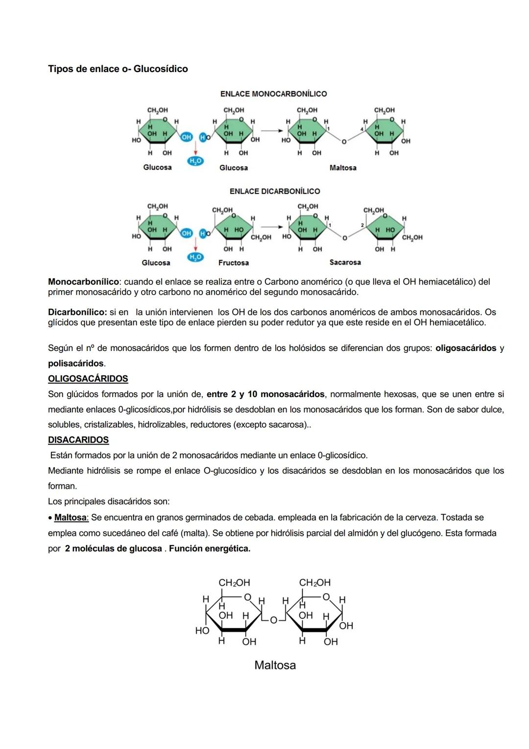 GLÚCIDOS
CARACTERISTICAS GENERALES
Los glúcidos son biomoléculas orgánicas que están formadas principalmente por C, H y O.
Su formula genera