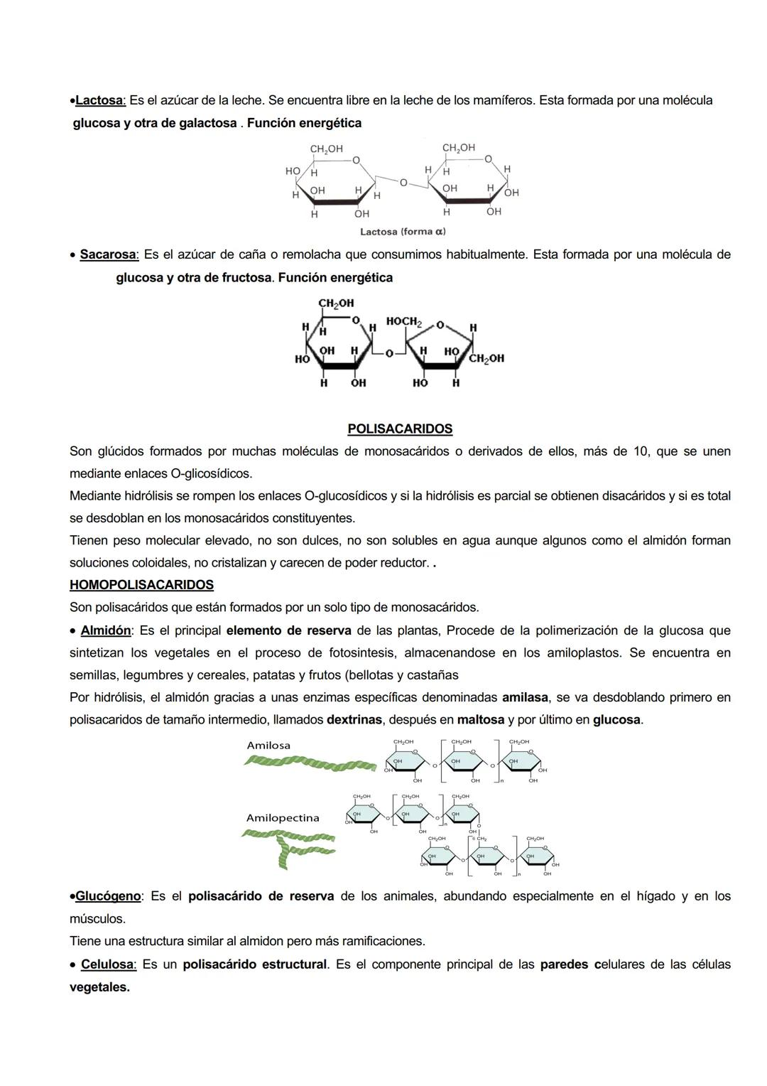 GLÚCIDOS
CARACTERISTICAS GENERALES
Los glúcidos son biomoléculas orgánicas que están formadas principalmente por C, H y O.
Su formula genera