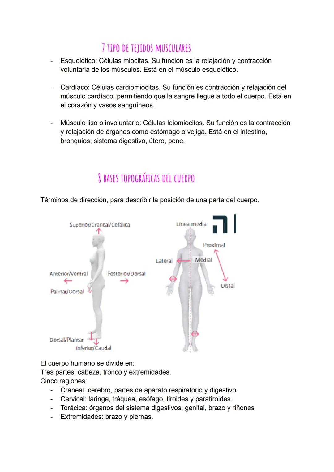 T1 la célula y las estructuras básicas del
1 QUÉ ES LA CÉLULA
cuerpo
La célula es la unidad morfológica y funcional de los seres vivos.
Orga