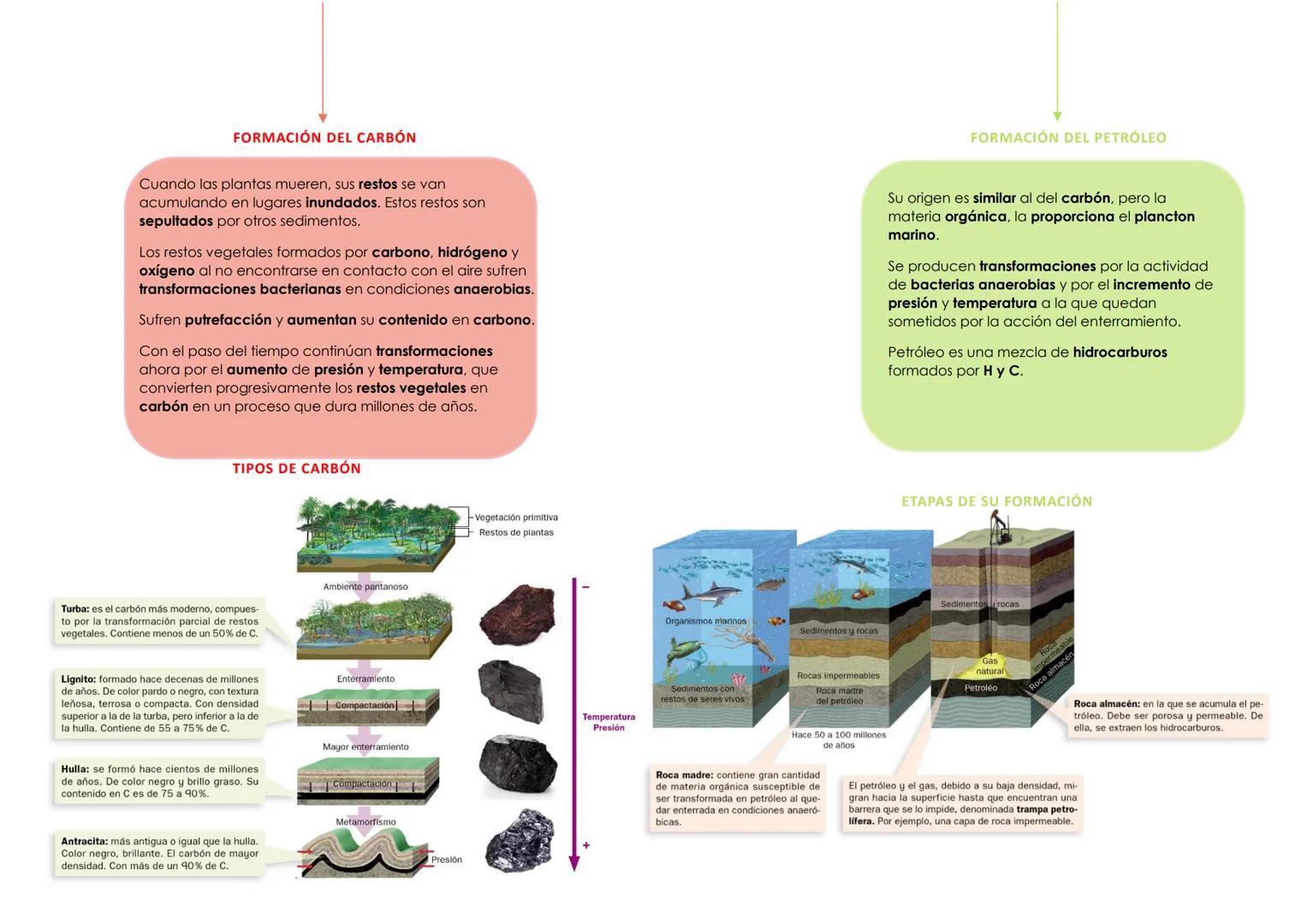 # BIOLOGÍA 2º PARCIAL 1ª EVALUACIÓN (TΕΜΑ 14)
## 1. MAGMATISMO
Magma – Masa de rocas fundidas, de composición silicatada, con porcentajes