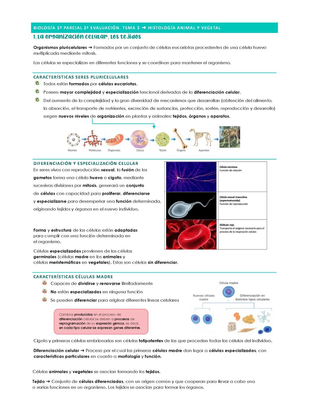 1ºParcial 2ªEvaluación