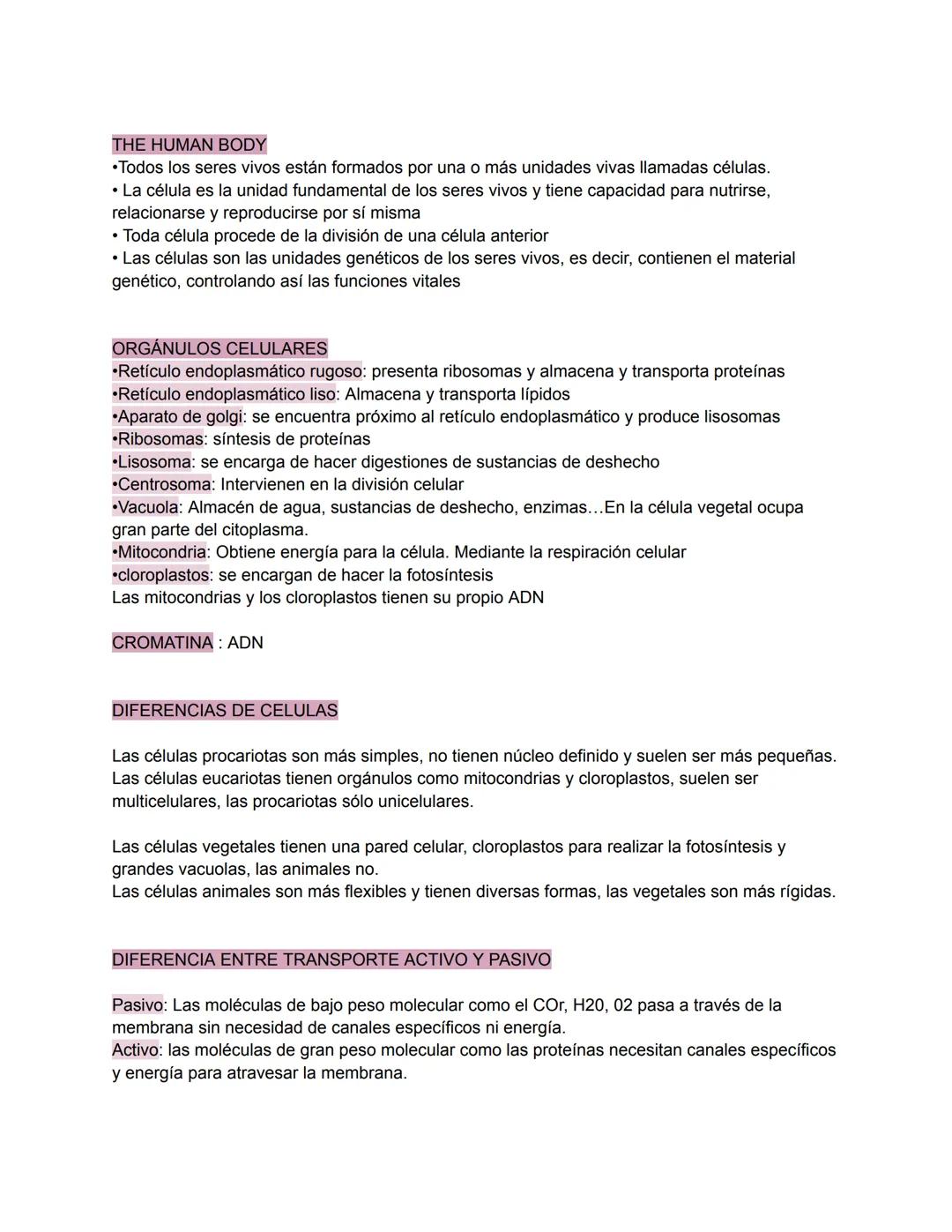# THE HUMAN BODY
•Todos los seres vivos están formados por una o más unidades vivas llamadas células.
• La célula es la unidad fundamental d