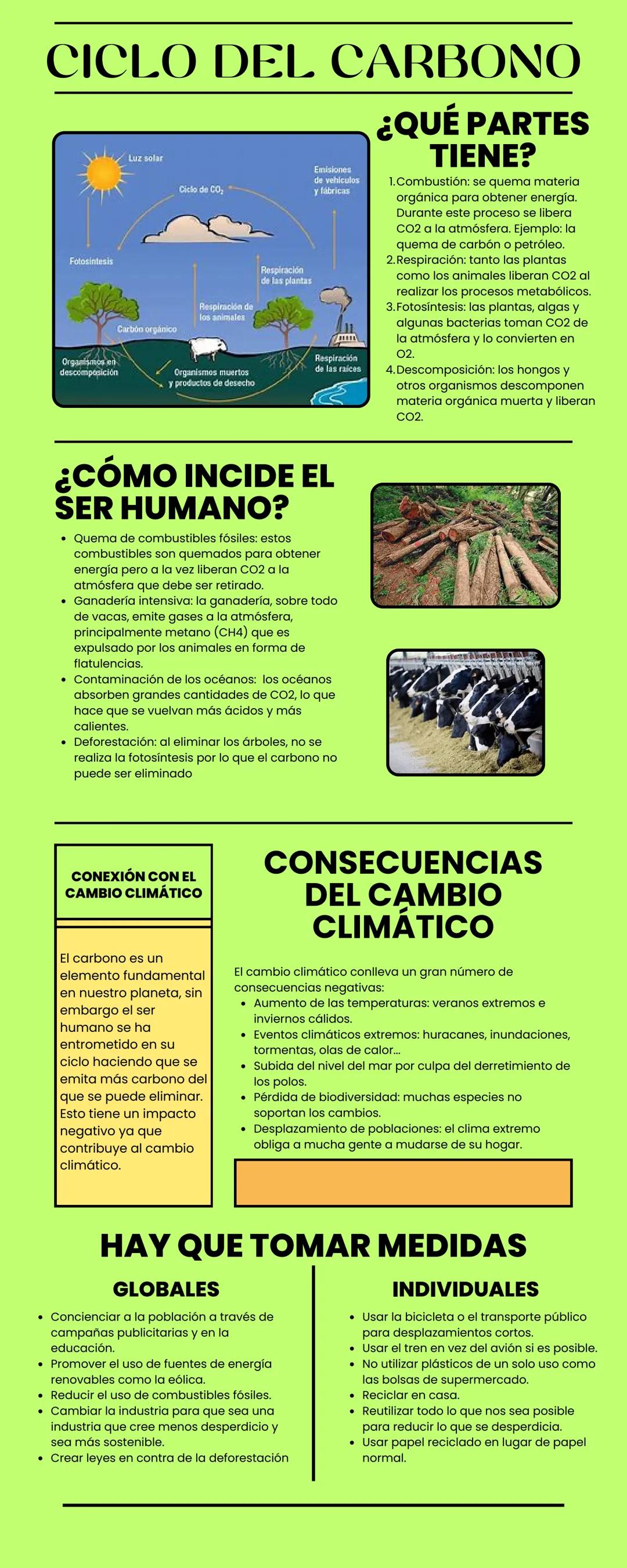 CICLO DEL CARBONO
Fotosintesis
Organismos en
descomposición
Luz solar
Carbon orgánico
Ciclo de CO₂
Respiración de
los animales
Organismos mu