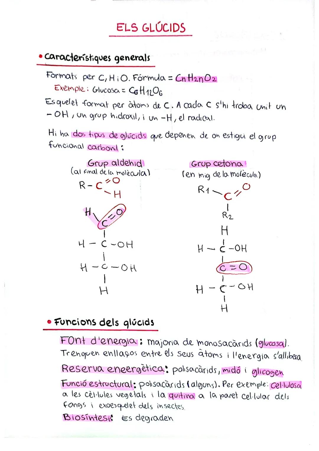 # ELS GLÚCIDS
• Característiques generals
Formats per C,H,O. Fórmula = $C_nH_{2n}O_2$ +
Exemple: Glucosa = $C_6H_{12}O_6$
Esquelet forma