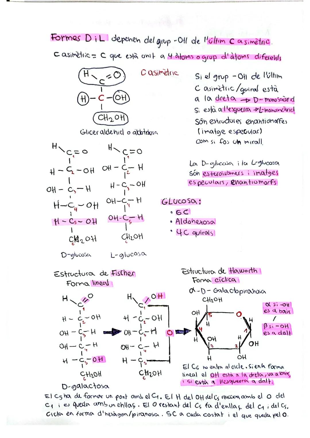 # ELS GLÚCIDS
• Característiques generals
Formats per C,H,O. Fórmula = $C_nH_{2n}O_2$ +
Exemple: Glucosa = $C_6H_{12}O_6$
Esquelet forma