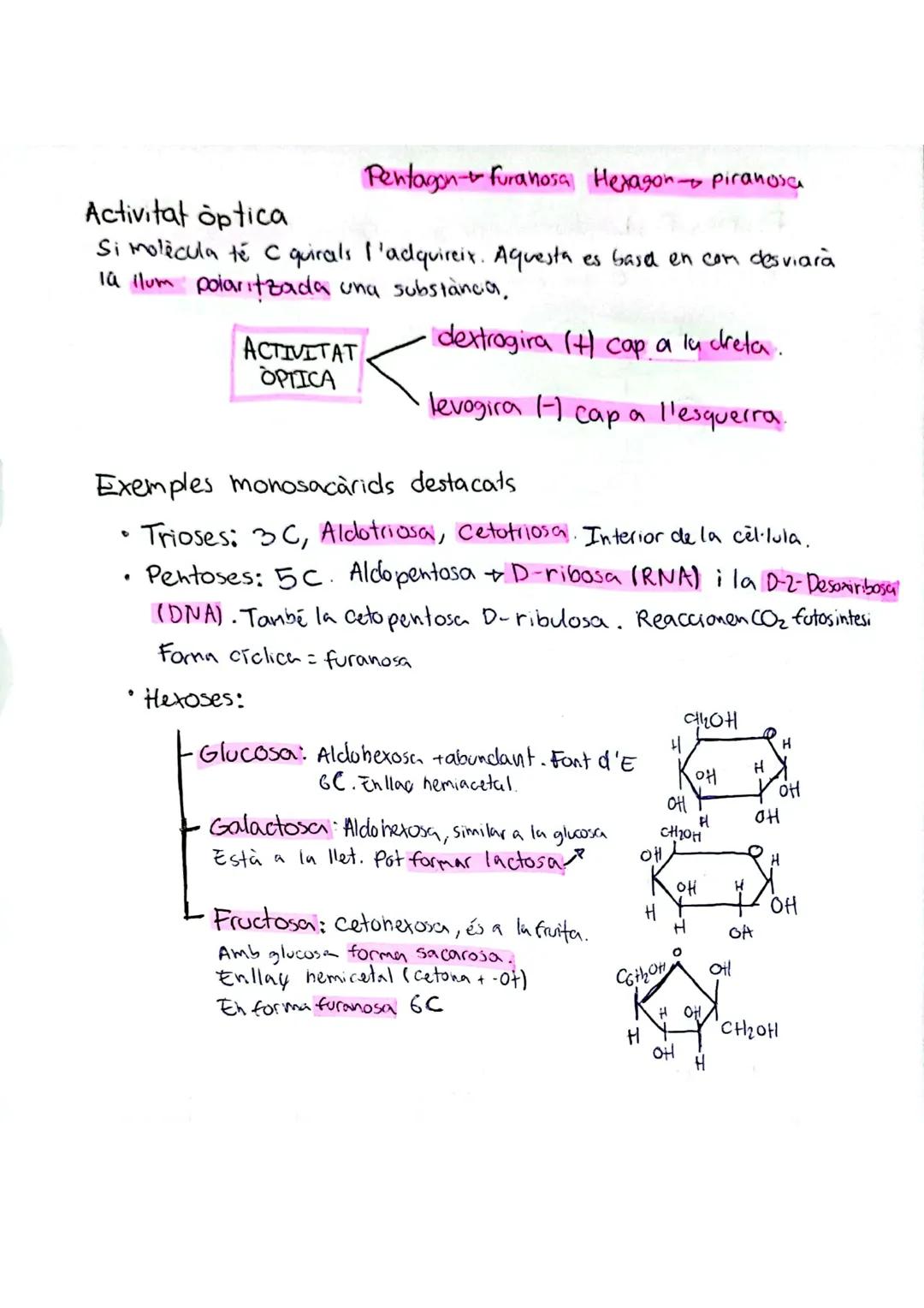 # ELS GLÚCIDS
• Característiques generals
Formats per C,H,O. Fórmula = $C_nH_{2n}O_2$ +
Exemple: Glucosa = $C_6H_{12}O_6$
Esquelet forma