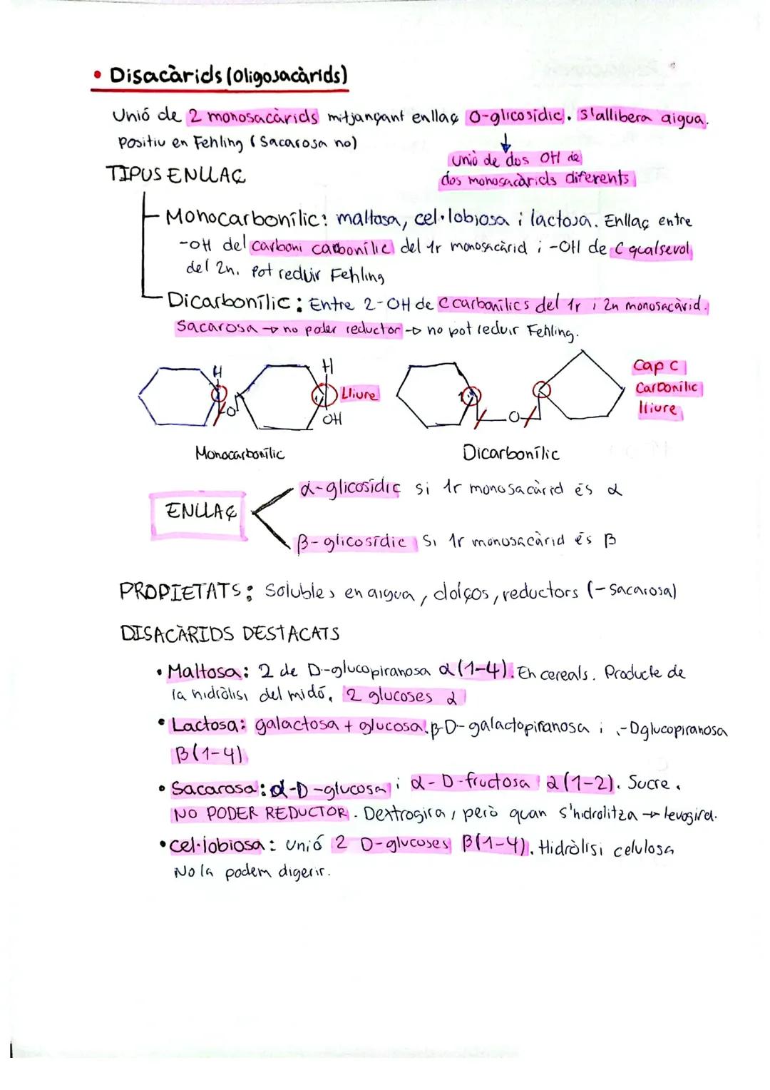 # ELS GLÚCIDS
• Característiques generals
Formats per C,H,O. Fórmula = $C_nH_{2n}O_2$ +
Exemple: Glucosa = $C_6H_{12}O_6$
Esquelet forma