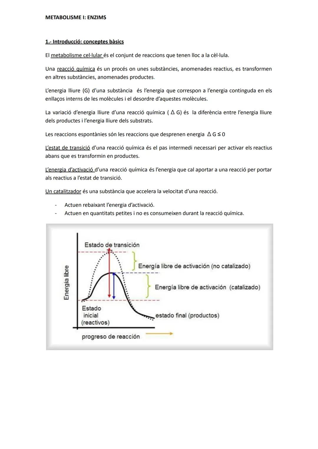 METABOLISME I: ENZIMS
1.- Introducció: conceptes bàsics
El metabolisme cel·lular és el conjunt de reaccions que tenen lloc a la cèl·lula.
