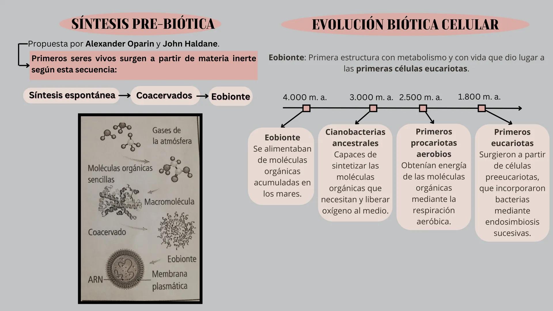 # EL ORIGEN DE LA VIDA Y LA
# EVOLUCIÓN # SÍNTESIS PRE-BIÓTICA
-Propuesta por Alexander Oparin y John Haldane.
EVOLUCIÓN BIÓTICA CELULAR