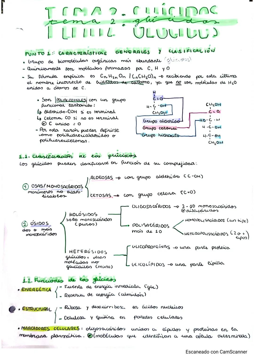 # TEMA 2. glúcidos
## GLICIDOS
PUNTO 1: CARACTERÍSTICAS GENERALES Y CLASIFICACIÓN
- Grupo de biomoléculas orgánicas más abundante (ghiados)