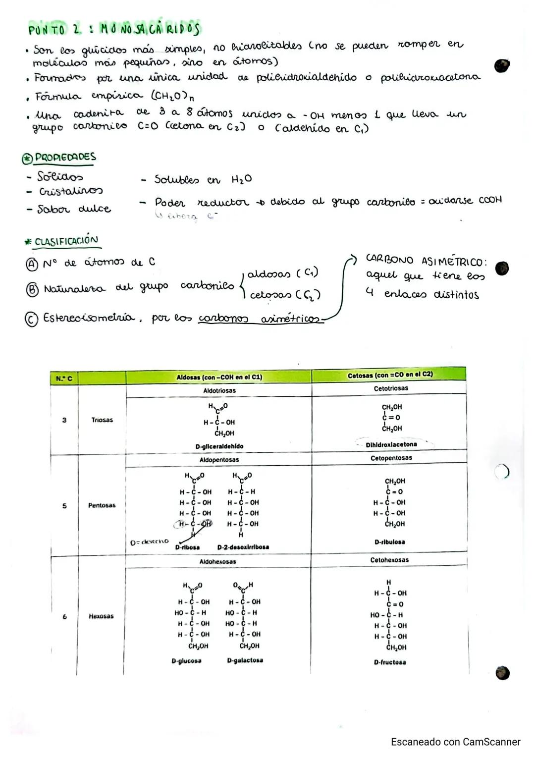 # TEMA 2. glúcidos
## GLICIDOS
PUNTO 1: CARACTERÍSTICAS GENERALES Y CLASIFICACIÓN
- Grupo de biomoléculas orgánicas más abundante (ghiados)