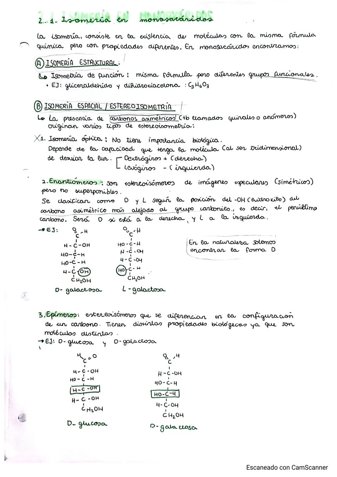 # TEMA 2. glúcidos
## GLICIDOS
PUNTO 1: CARACTERÍSTICAS GENERALES Y CLASIFICACIÓN
- Grupo de biomoléculas orgánicas más abundante (ghiados)