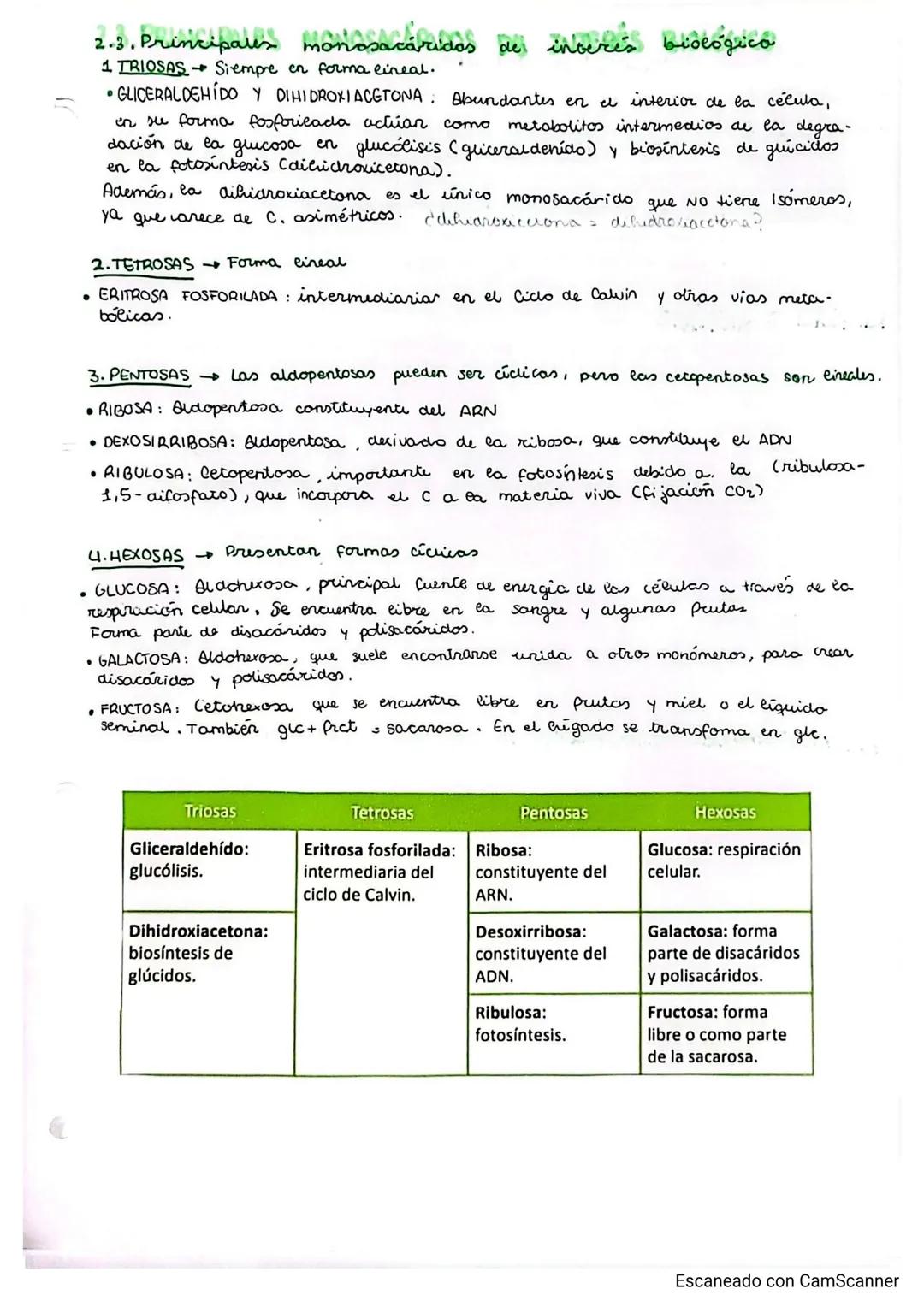 # TEMA 2. glúcidos
## GLICIDOS
PUNTO 1: CARACTERÍSTICAS GENERALES Y CLASIFICACIÓN
- Grupo de biomoléculas orgánicas más abundante (ghiados)