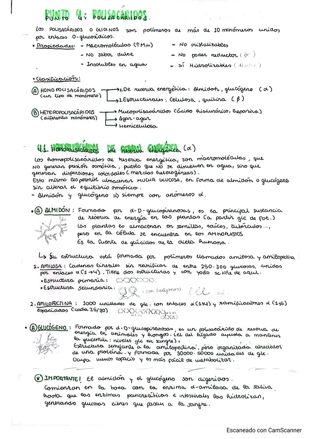 # TEMA 2. glúcidos
## GLICIDOS
PUNTO 1: CARACTERÍSTICAS GENERALES Y CLASIFICACIÓN
- Grupo de biomoléculas orgánicas más abundante (ghiados)