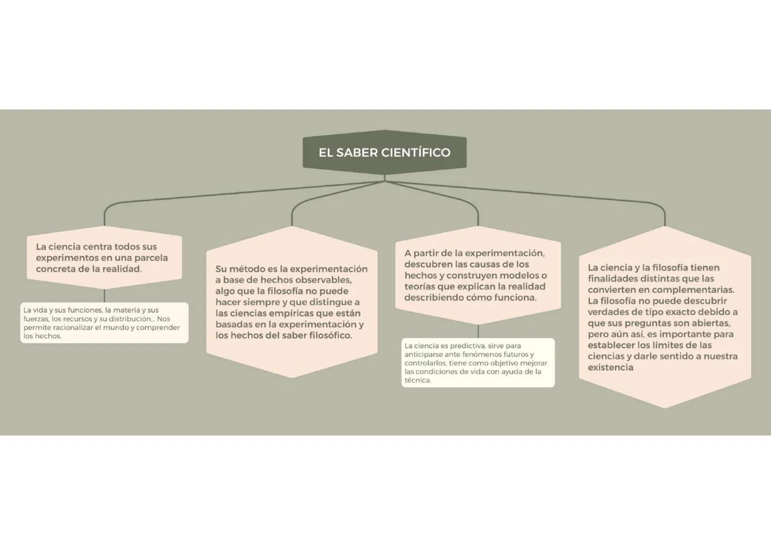 Busca una verdad profunda y fundamental que
aspira a encontrar en la realidad. Quiere llegar
hasta la raíz de las cosas.
Ninguna ciencia nos