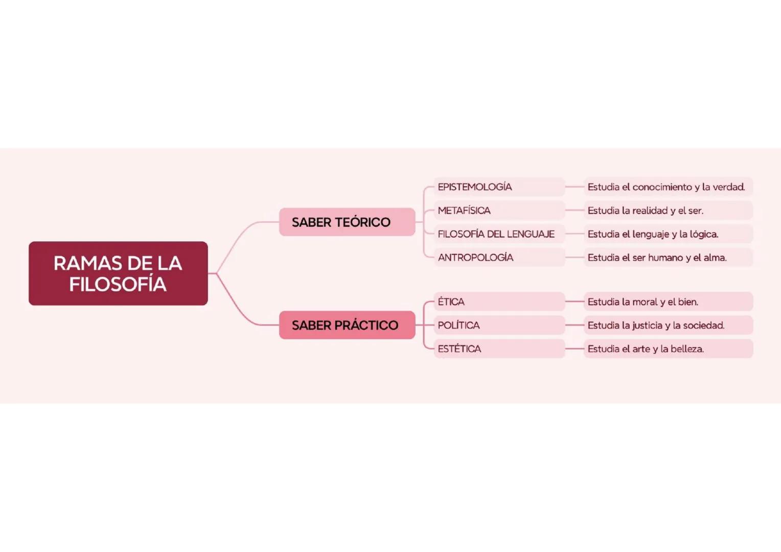 Busca una verdad profunda y fundamental que
aspira a encontrar en la realidad. Quiere llegar
hasta la raíz de las cosas.
Ninguna ciencia nos