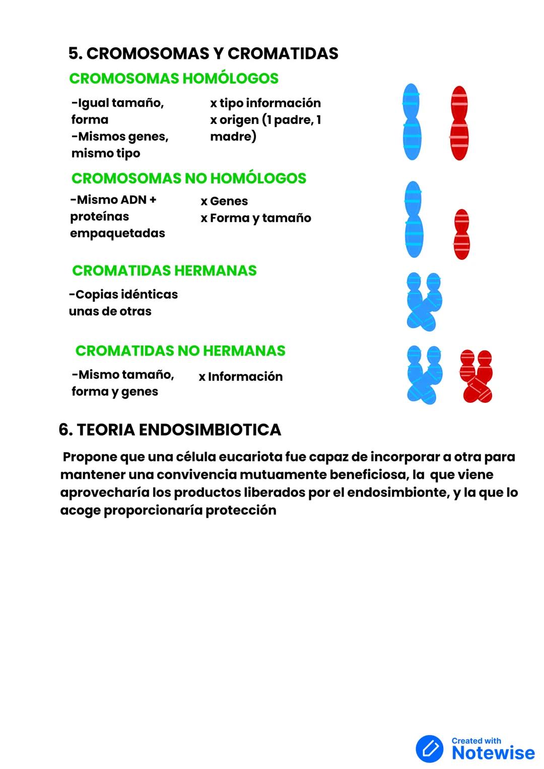 TEMA 1. LA CELULA: UNIDAD DE VIDA
1. LOS SERES VIVOS ESTAMOS FORMADOS POR CÉLULAS
EL DESCUBRIMIENTO DEL MICROOSCOPIO
-Zacharias Janssen aume