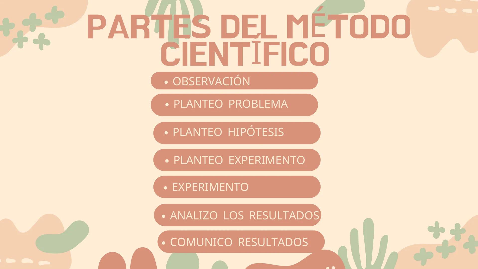 EL METODO
CIENTIFICO PARTES DEL METODO
CIENTIFICO
OBSERVACIÓN
PLANTEO PROBLEMA
• PLANTEO HIPÓTESIS
• PLANTEO EXPERIMENTO
EXPERIMENTO
• ANALI