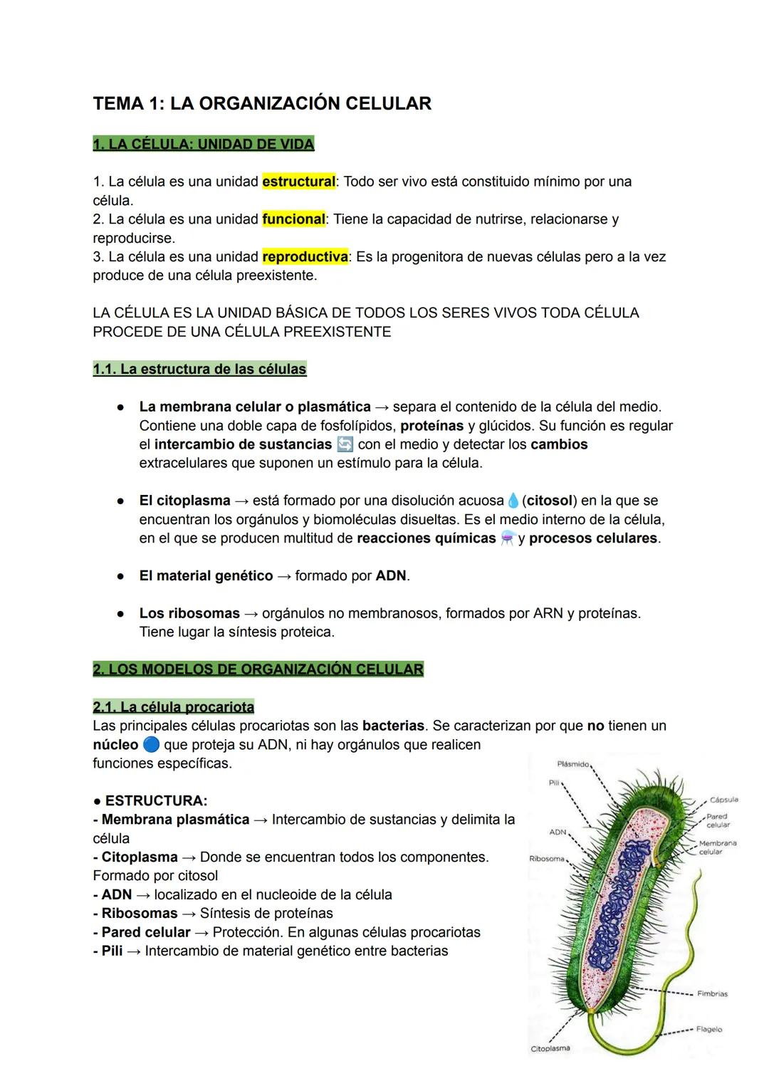 # TEMA 1: LA ORGANIZACIÓN CELULAR
1. LA CÉLULA: UNIDAD DE VIDA
1. La célula es una unidad estructural: Todo ser vivo está constituido mín